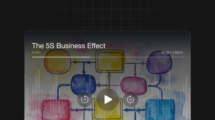 The 5S Business Effect preview
