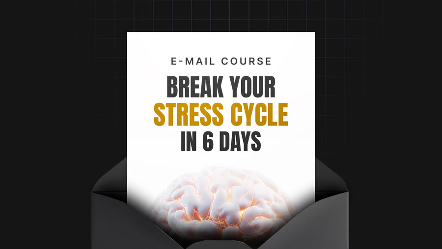 Break Your Stress Cycle in 6 Days preview