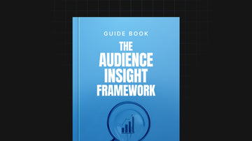 The Audience Insight Framework preview