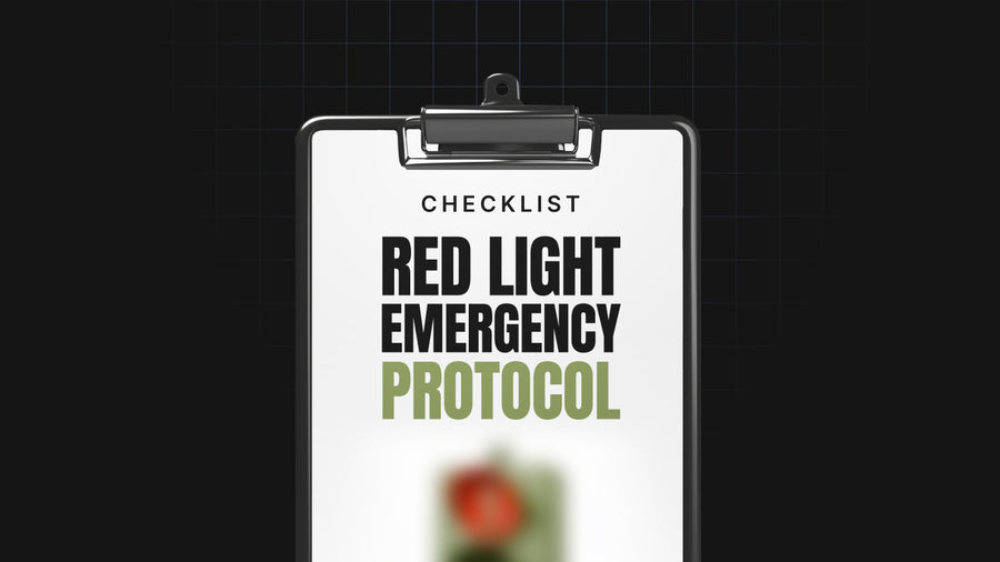 Red Light Emergency Protocol preview