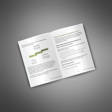 90-Day Safety Culture Implementation Roadmap image 3