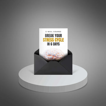 Break Your Stress Cycle in 6 Days image 1
