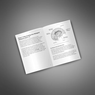 Build Unbreakable Daily Routines in 30 Days image 3