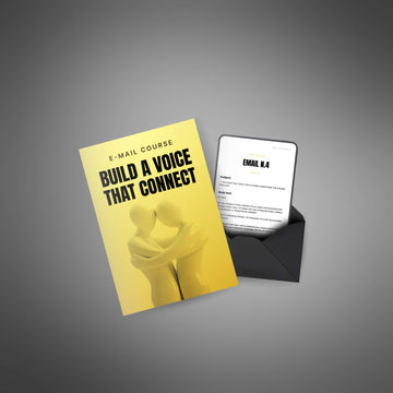 Build a Voice that Connect image 3