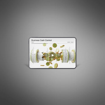 Business Cash Control image 4