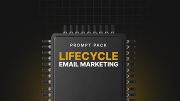Lifecycle Email Marketing - Prompts preview
