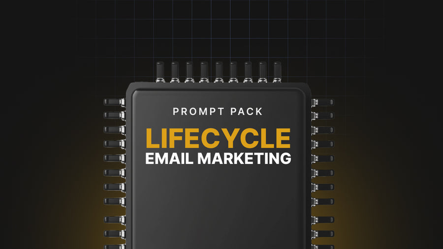 Lifecycle Email Marketing - Prompts preview