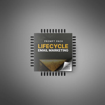 Lifecycle Email Marketing - Prompts image 3