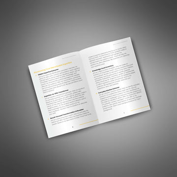 Micro-Audience Monetization image 2