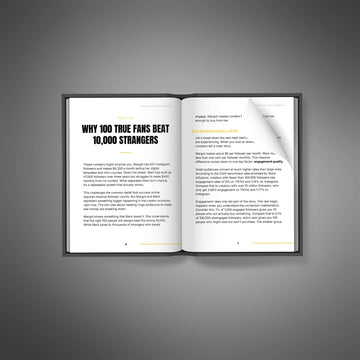 Monetize Your Micro-Audience image 2