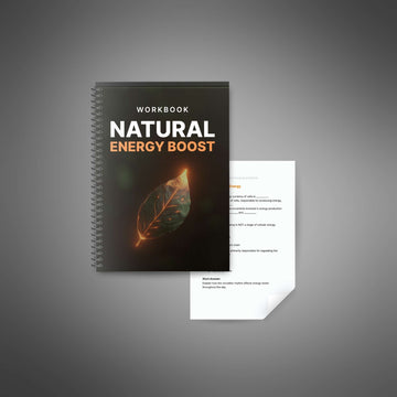 Natural Energy Boost - Workbook image 2