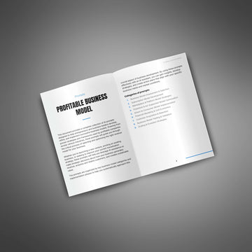 Profitable Business Model image 2