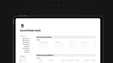 Social Media Audit preview