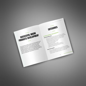 Successful Micro Products Development image 2