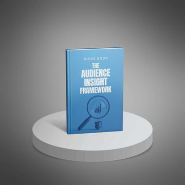 The Audience Insight Framework image 1