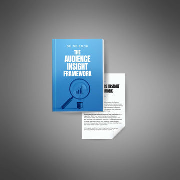 The Audience Insight Framework image 2
