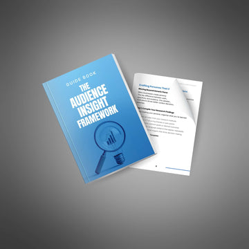 The Audience Insight Framework image 4