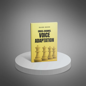 The Cross-Channel Voice Adaptation System image 1