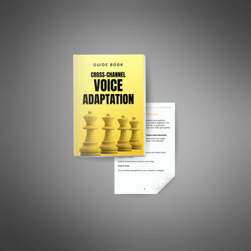 The Cross-Channel Voice Adaptation System image 2