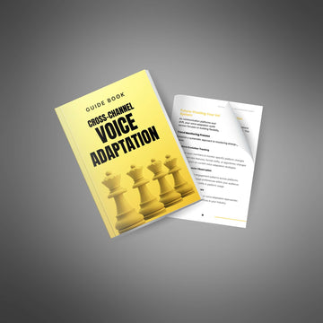 The Cross-Channel Voice Adaptation System image 4