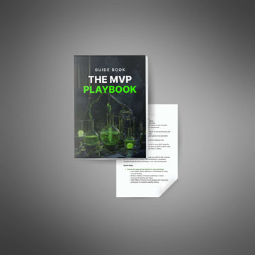 The MVP Playbook - Guide image 2