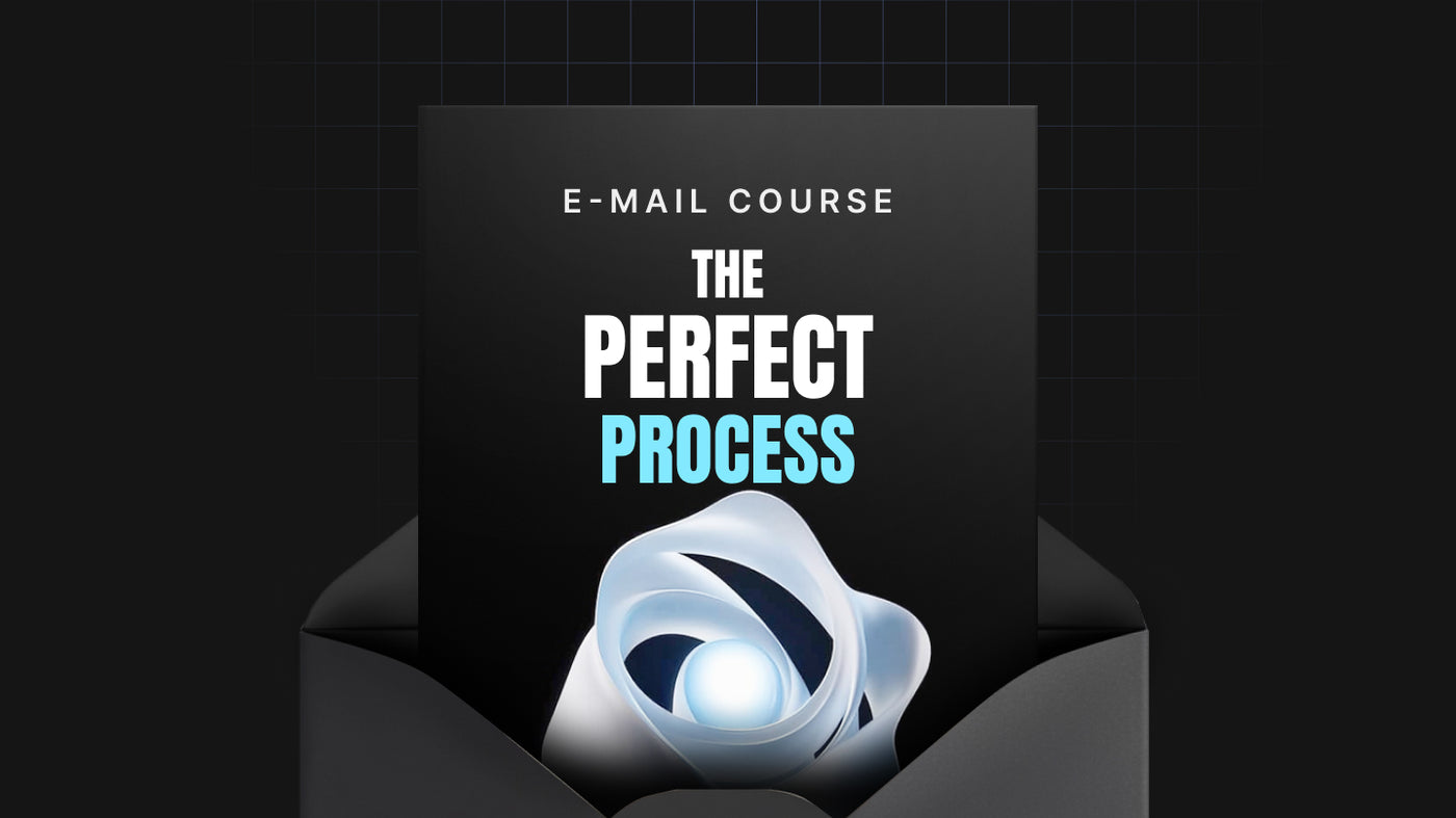 The Perfect Process preview