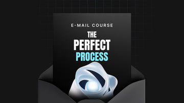 The Perfect Process preview