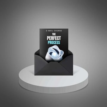 The Perfect Process image 1