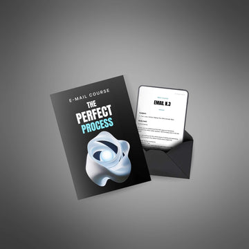 The Perfect Process image 3