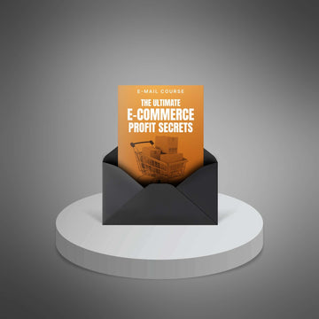 The Ultimate E-Commerce Profit Secrets image 1
