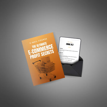 The Ultimate E-Commerce Profit Secrets image 3